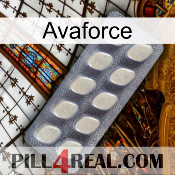 Avaforce 08.jpg